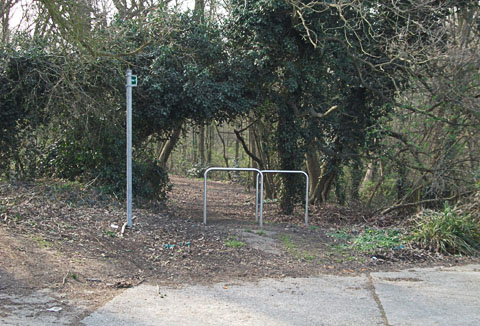 Access from Coombewood Drive