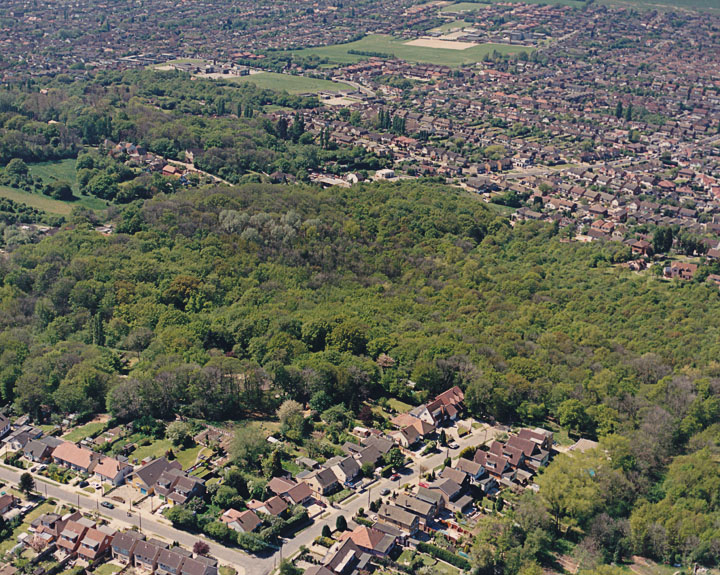 Coombe Wood from the air